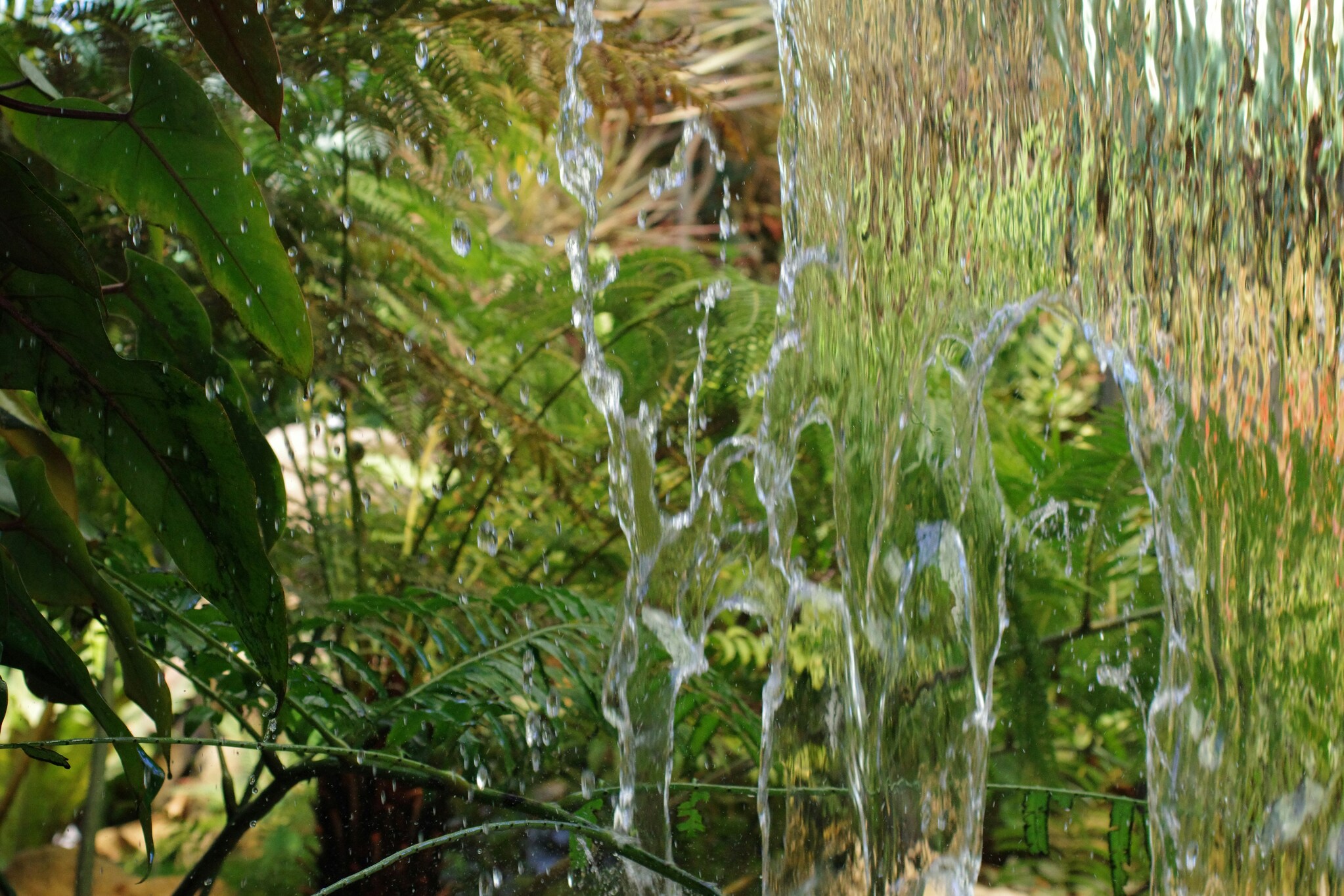 Vertical Farming Facility with pink LED lights illuminating rows of leafy greens
